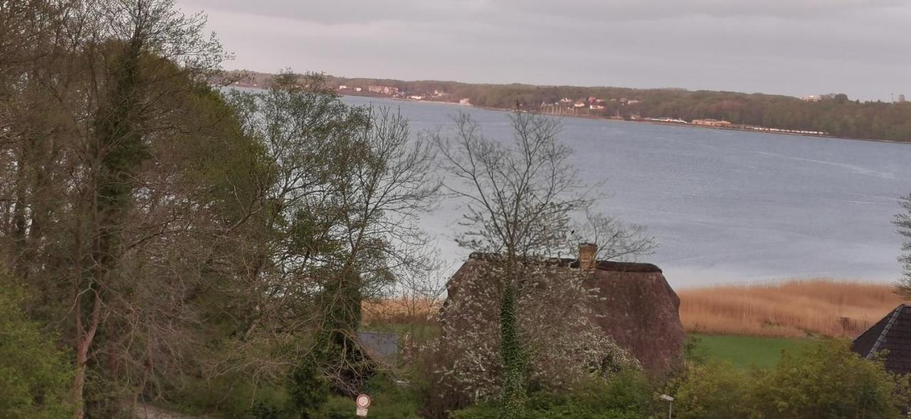 Akzent Hotel Alte Direktionsvilla Kupfermuehle Harrislee Buitenkant foto